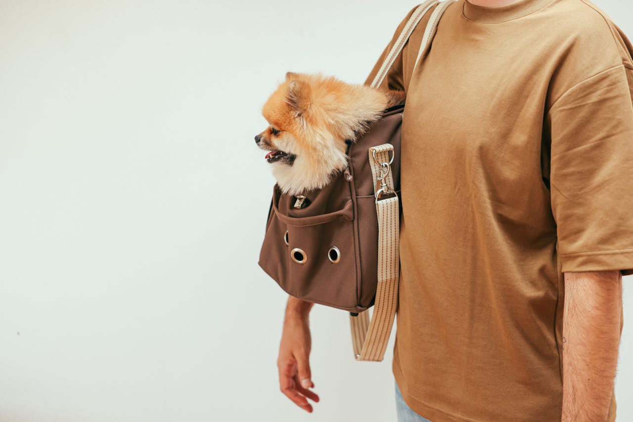 A man carrying his dog in a brown bag on his shoulder