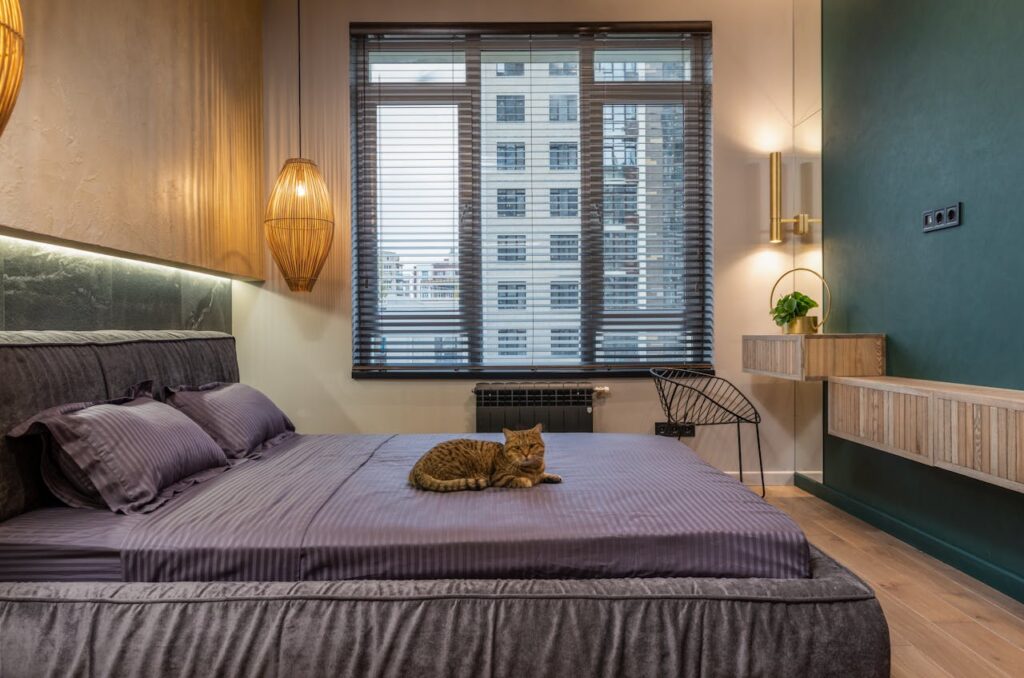 A cat relaxing on a hotel bed in a cozy room.